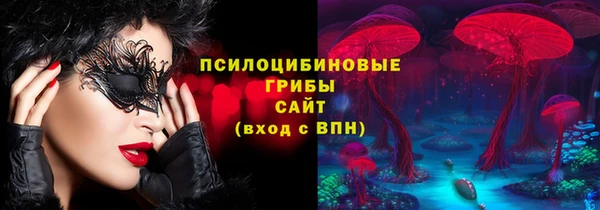 сатива Зерноград
