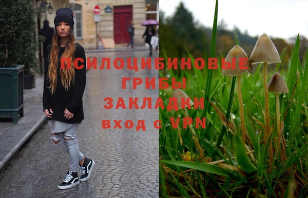 мет Инта