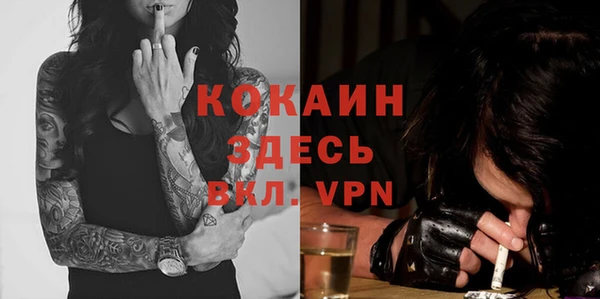 прущие грибы Иннополис
