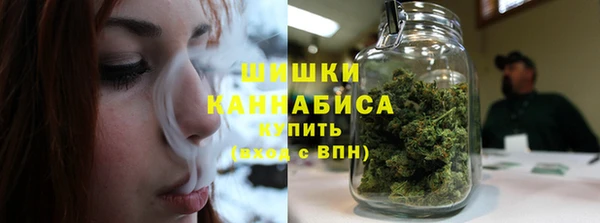 прущие грибы Иннополис