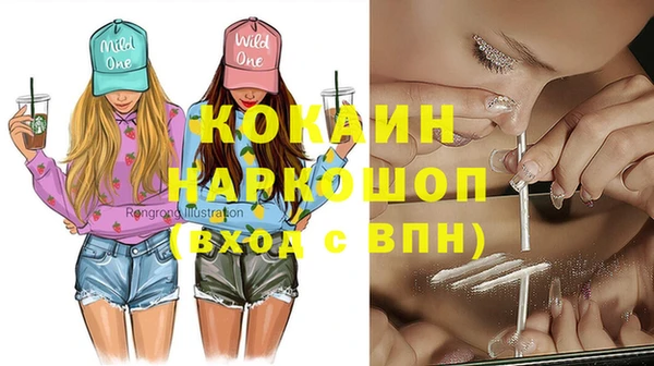 винт Инсар
