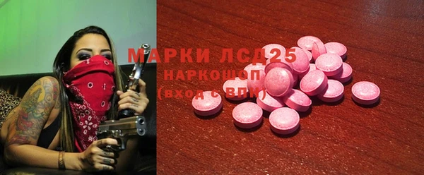 винт Инсар