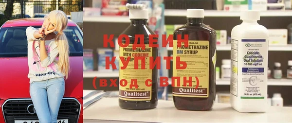 прущие грибы Иннополис